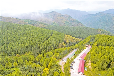     位于六盤山國家森林公園內(nèi)的王化南護(hù)林點。