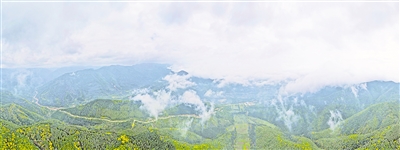     清晨，薄霧籠罩六盤山。